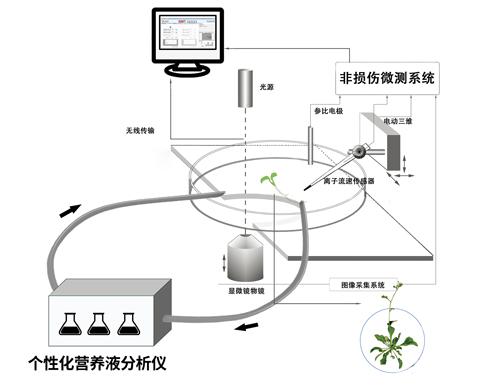 个性化营养液分析仪