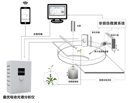 最优吸收光谱分析仪