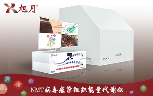 NMT病毒感染组织能量代谢仪
